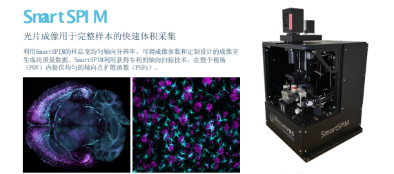 关于SmartSPIM技术一种快速、准确且高效的3D成像技术!(图2) 关于SmartSPIM技术一种快速、准确且高效的3D成像技术!(图2)