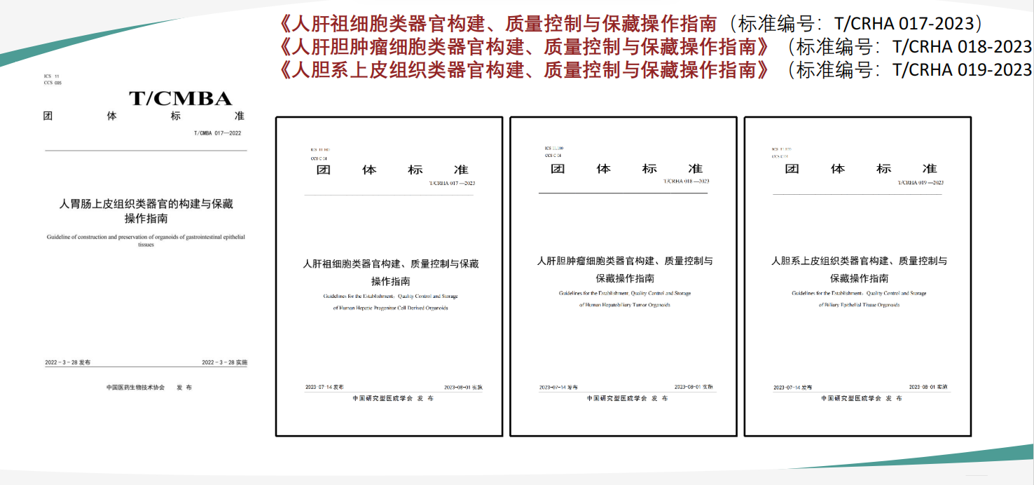 什么是类器官？类器官的详细介绍及应用(图2)