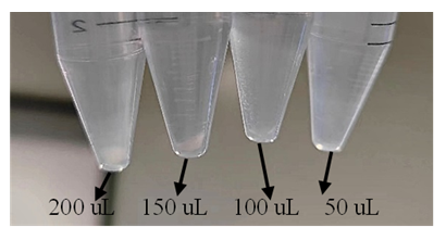 肺癌类器官培养基试剂盒(JFKR-LC-100-KIT/JFKR-LC-500-KIT)(图2) 1742356247256.png
