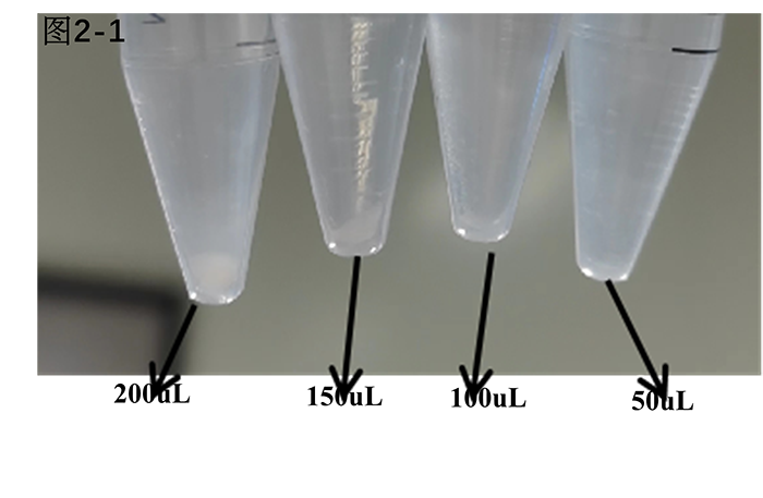 肝实质细胞癌类器官培养基试剂盒( JFKR-HCC-100-KIT/ JFKR-HCC-500-KIT)(图2) 奶牛乳腺类器官培养基试剂盒(JFKR-BMO -100-KIT/JFKR-BMO -500-KIT)(图2)