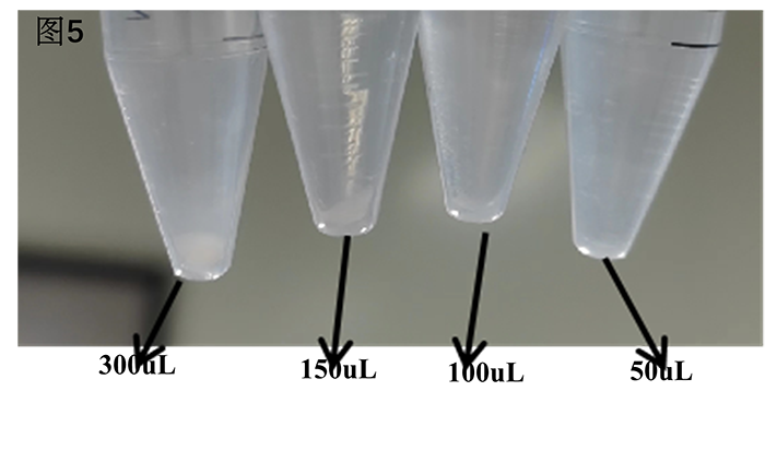 肠癌类器官培养基试剂盒（JFKR-CRC-100-KIT/JFKR-CRC-500-KIT）(图8)