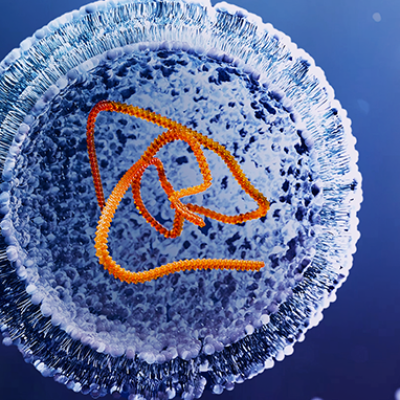 全世界有望预防致命细菌感染，诺奖得主开发全新mRNA疫苗！