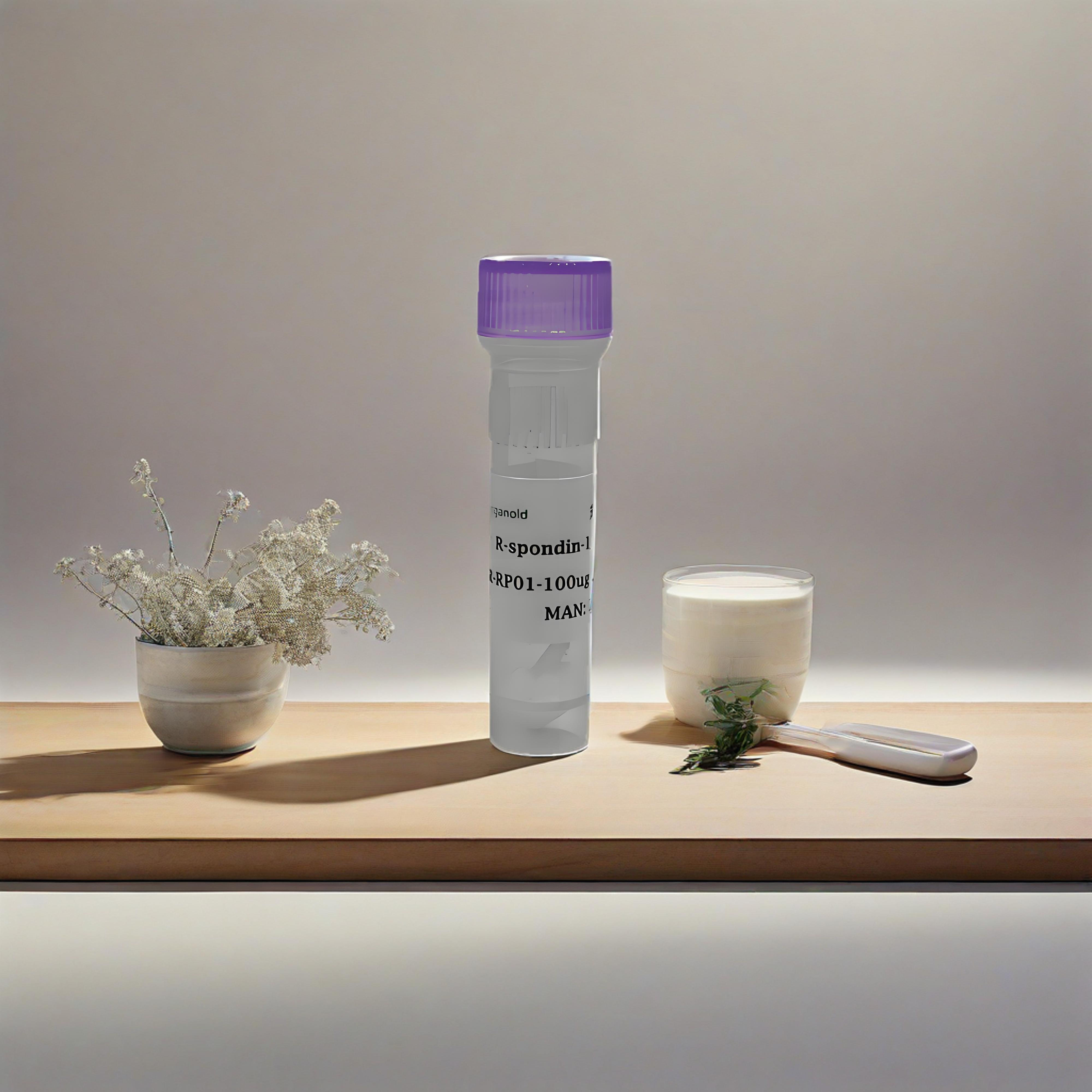 Human R-Spondin1 Recombinant P