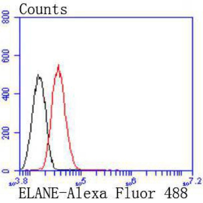 Neutrophil Elastase Recombinan