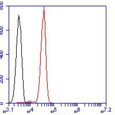 IL-6 Rabbit Polyclonal Antibod