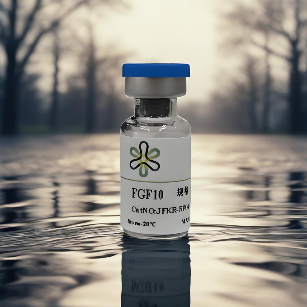 <strong>OrganoPro™ Human FGF10 Re</strong>