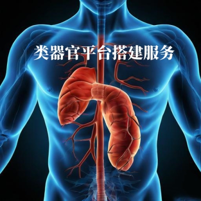 提供类器官平台搭建服务