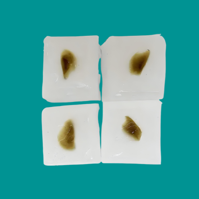 提供组织石蜡包埋/OCT包埋技术服务