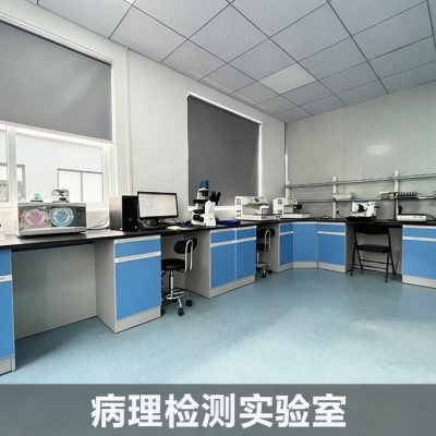 小动物常规组织石蜡包埋、切片、HE染色整